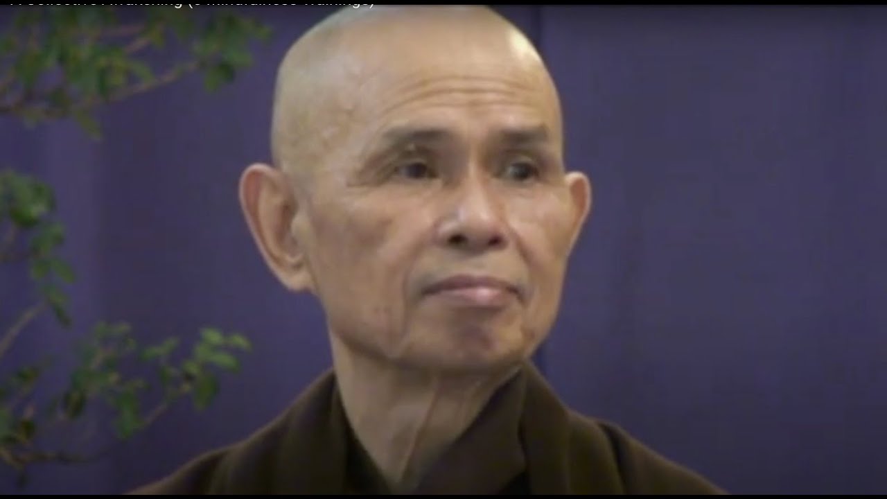 A Collective Awakening (5 Mindfulness Trainings)