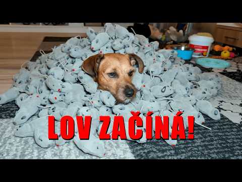 Max v akci! Lovec vs. Natahovací myš