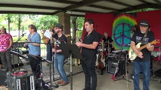 The Grass Roots - I&#39;d Wait a Million Years - Neighborhood Picnic Band 2019