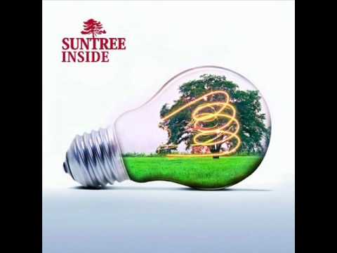 Suntree - Private Guide (Album Edit)