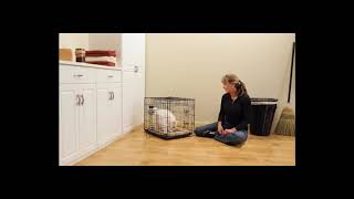 Lucky Dog 2 Door Dog Kennel (42-inch) Reviews