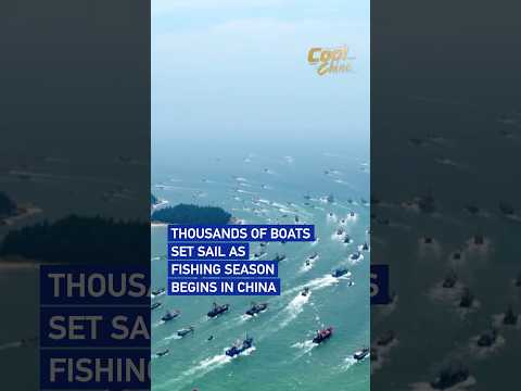 Thousands of boats set sail as fishing season begins in China #coolchina