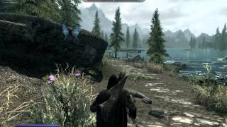 Tamriel Online. Установка и запуск мода Skyrim ONLINE CO-OP Multiplayer