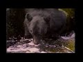 Toyota Wouldn T It Be Nice Winter Parody 1997