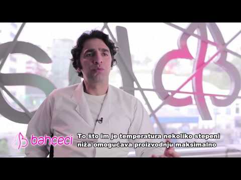 Da li stil življenja i odjeća utječu na broj spermija?