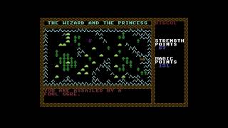 The Wizard and the Princess - Stage 1 - C16 Commodore 16 game playthrough with commentary