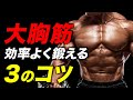 【筋トレ】大胸筋を効率よく鍛えるための3つのコツ【ビーレジェンド プロテイン】