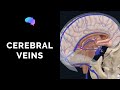 Cerebral Veins: Deep & Superficial Venous Drainage of Brain