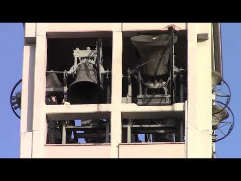 Le campane di Olcella, Busto Garolfo (MI) - Concerto