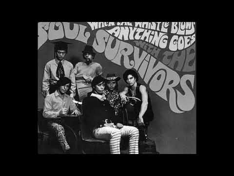 Expressway To Your Heart - Soul Survivors 1967 {Stereo}