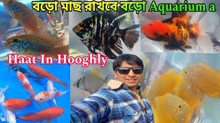 শখের হাটে রঙিন রঙিন মাছ | Aquarium Fish Shrirampur Haat | Serampore Pet Market | Aquarium Fish Shop 