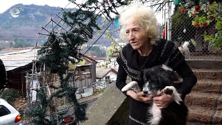 Няколко институции влязоха на проверка в „Къщата за кучета“ в Смолян