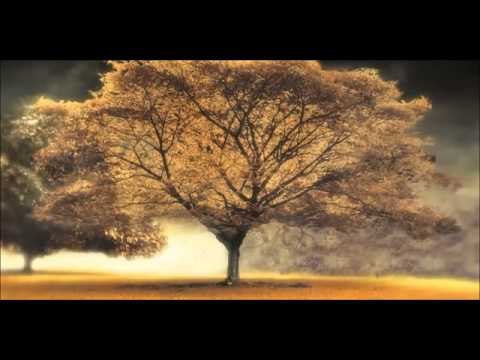 Arash Ft. Helena - Broken Angel