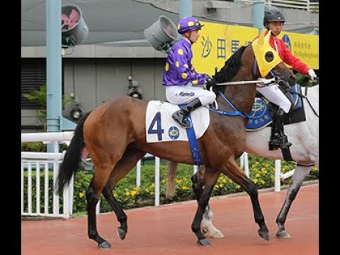 快步速 郭能  追風驥足  莫雷拉  2020 11 18