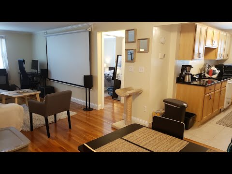 Cambridgeport 1 Bedroom Hidden Gem Near MIT | My Harvard Apartment