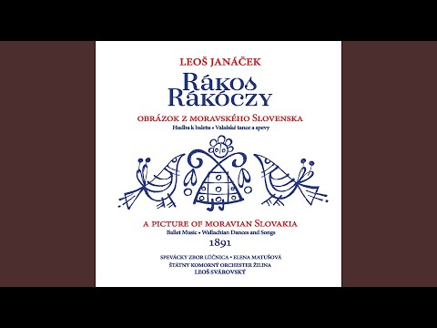 Kukačka (Cuckoo)