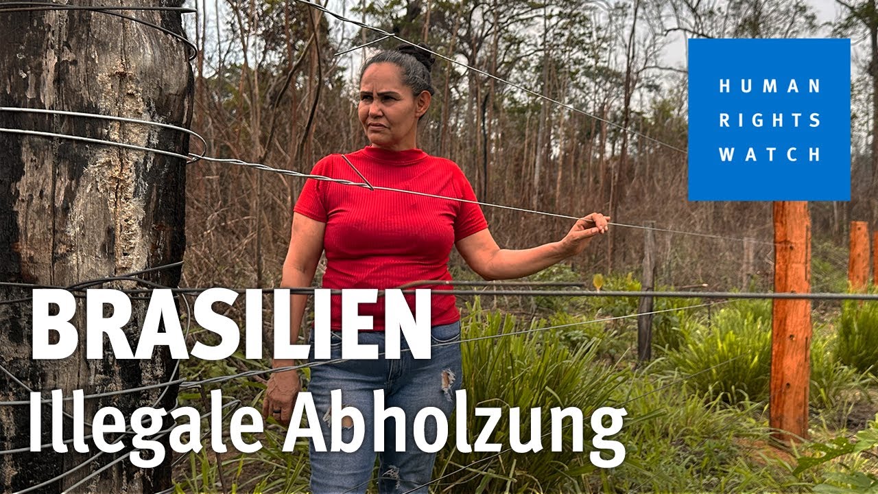 Invasion: Illegale Farmen zerstören Regenwald und Lebensgrundlagen in Brasilien