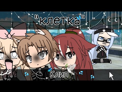 |💦|Клип'клетка' |💦|Грустный клип|💦|гача лайф|💦|•ʙᴏдицᴀ•ツ|💦|Specially for 400+ subscribers|💦|