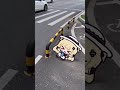 Clip 3