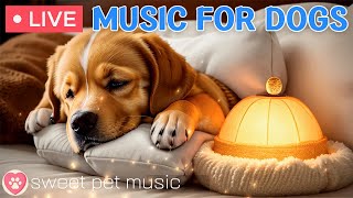 24/7 Psychological stability music for anxious dogs｜Separation Anxiety Music & Stress Relief Music