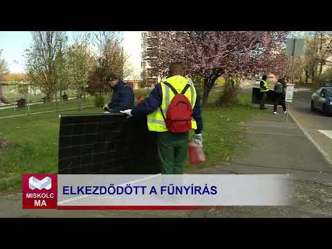 Videó előnézet