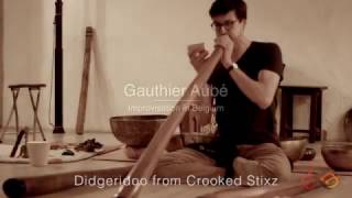 Gauthier Aubé - Didgeridoo solo in Belgium