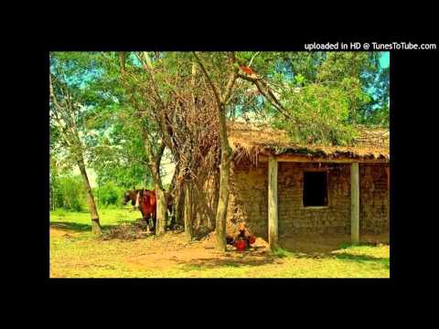 Today's Tango Is... Nido Gaucho - Francisco Canaro 30-12-1942