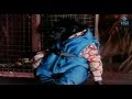 Cute Monkey Feeding Elephant Annai Oru Aalayam