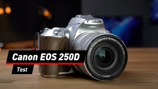 Einsteiger-Spiegelreflex: Canon EOS 250D im Test