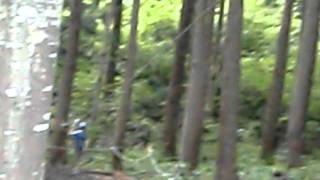 フォレストアドベンチャー・湯沢中里(FORESTADVENTURE YUZAWA-NAKAZATO)