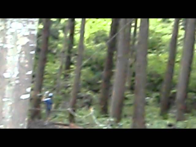 フォレストアドベンチャー・湯沢中里(FORESTADVENTURE YUZAWA-NAKAZATO)