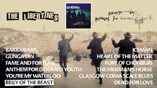 The Libertines - Anthems For Doomed Youth (Full Album Player)