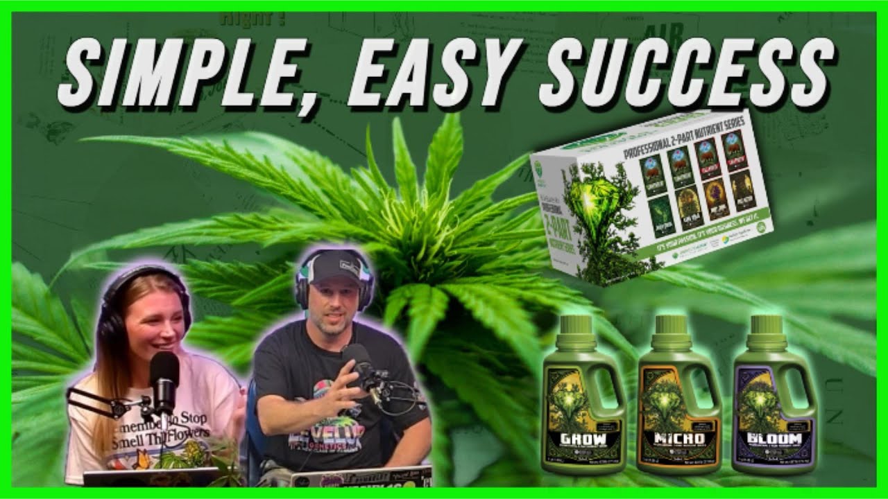 How to Grow Cannabis From Start to Finish | Emerald Harvest Grow Strategy