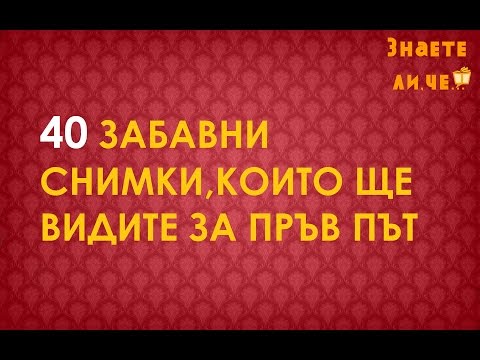 40 Забавни Снимки,които ще видите за пръв път