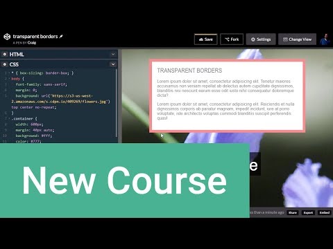 HTML CSS for Beginners FREE MEGA COURSE 7 Hours