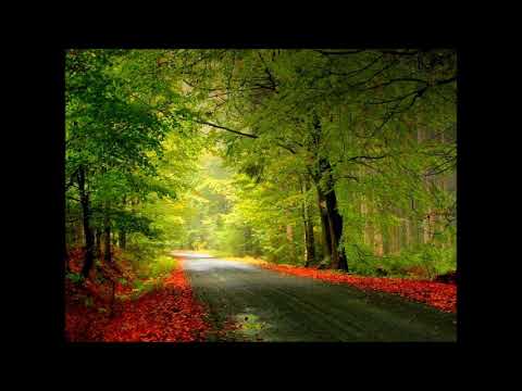 Thumbnail for There Are No Words video