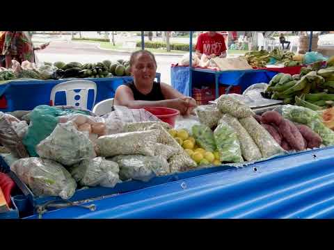 SERGIPE RURAL - PROGRAMA 17 - 2ª temporada