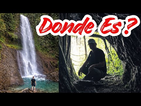 La cascada Más Increíble En Andes Antioquia (Su Acceso Bajo un Árbol) #antioquia #colombia 