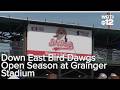 Down East Bird Dawgs Open Season at Grainger Stadium