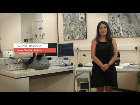 Zientzialari 56 - Izaskun Elezgarai: "Endokannabinoideak jomuga interesgarria dira terapeutikoki"