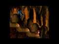 DONKEY KONG FRUSTRATION!!