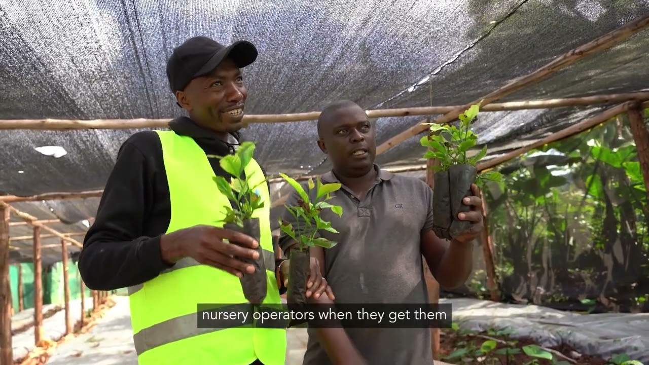 Mbugo ACE Ltd – Commitment to innovation and sustainability