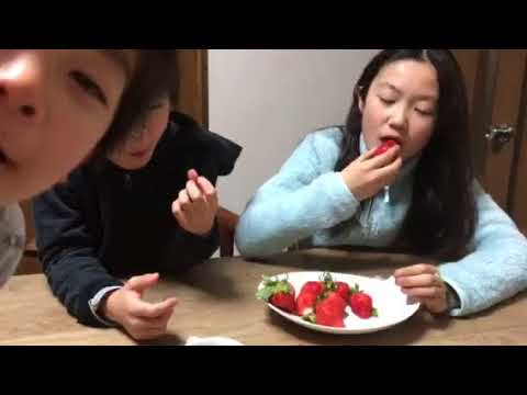 イチゴ 熊本のゆうべに(熊紅) 兄弟で取り合い、Yubeni Strawberry from Kumamoto, race with brother and sister