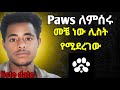 መቼ ነው ሊስት የሚደረገው Paws List Date In Ethiopia Paws Airdrop In Ethiopia Make 