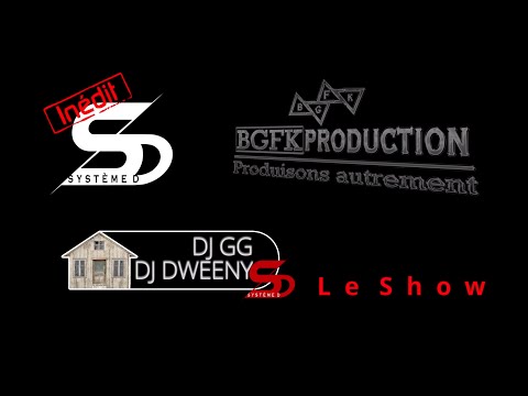 MINI SYSTÈME D - DJ GG & DJ DWEENY