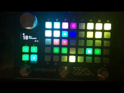 Empress ZOIA patch demo and control walk-through:  "Bit commando"