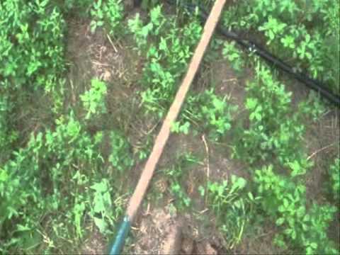 Moje Wykopki Odc. 103 (SE02 E3)