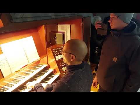 Mega-Party zum Hummelremmidemmi! Von Böhse Onkelz bis Layla! ✌️