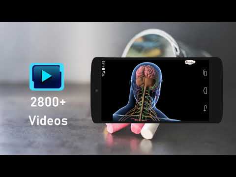 Study NCERT CBSE K-10 Videos Video