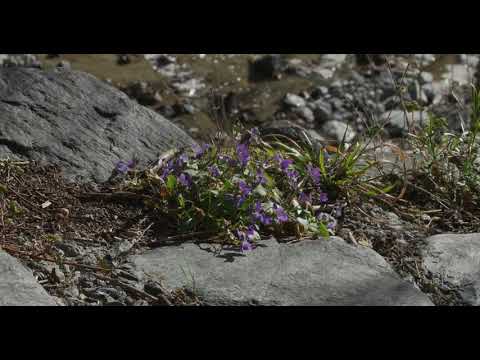 Chianocco   passeggiata nell'orrido